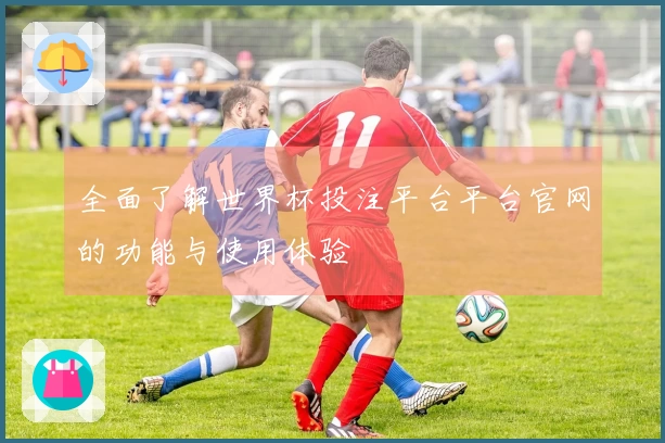 全面了解世界杯投注平台平台官网的功能与使用体验