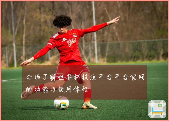 全面了解世界杯投注平台平台官网的功能与使用体验