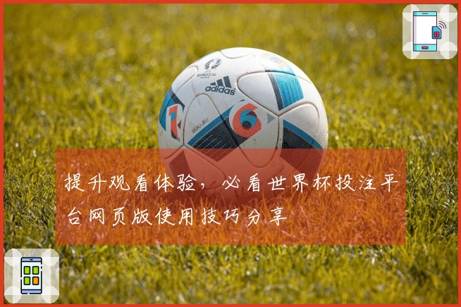提升观看体验，必看世界杯投注平台网页版使用技巧分享